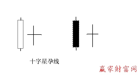 十字星形態