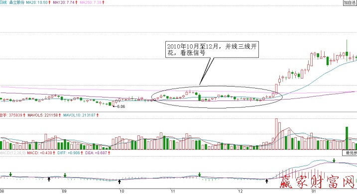 鼎立股份日K線圖