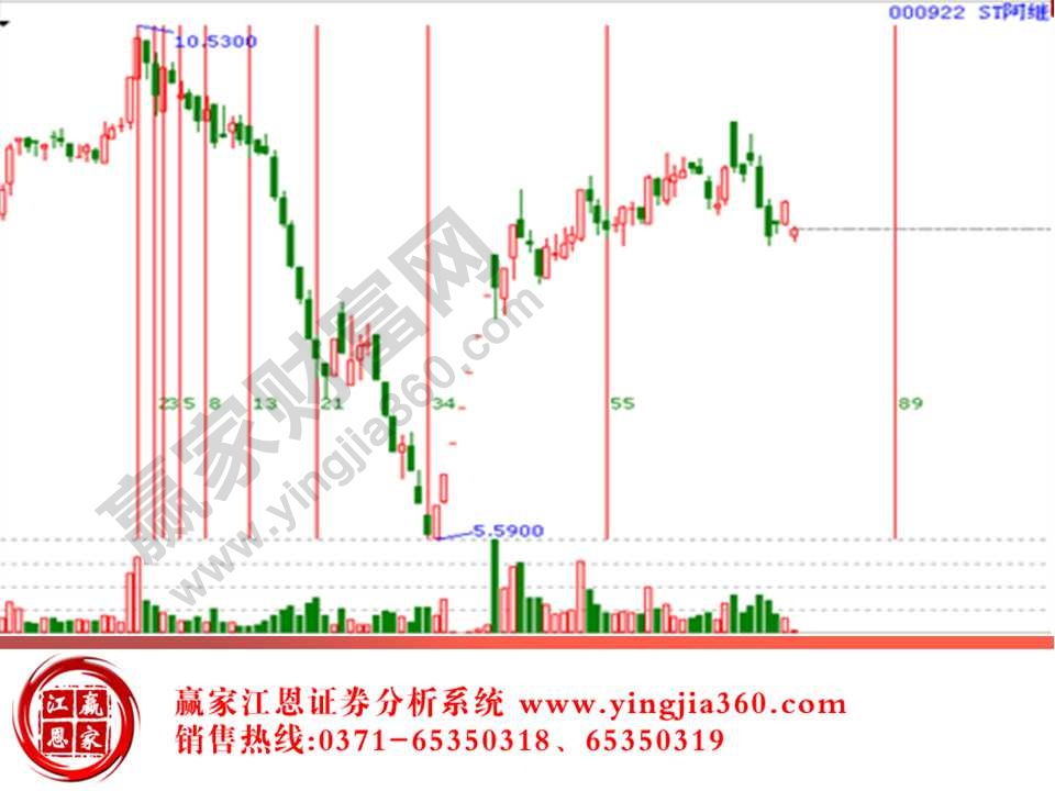 000922 形態解析