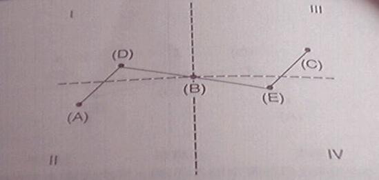 亞當理論的對稱性