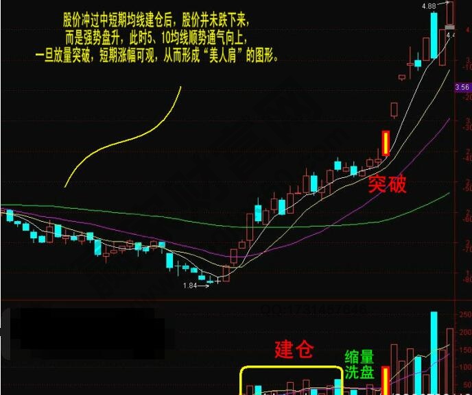 美人肩形態圖解