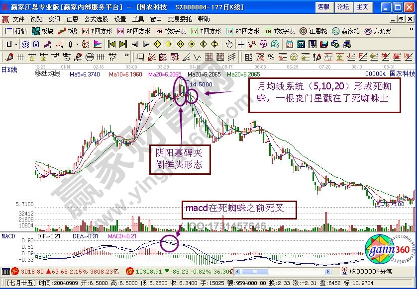死蜘蛛形態的市場意義
