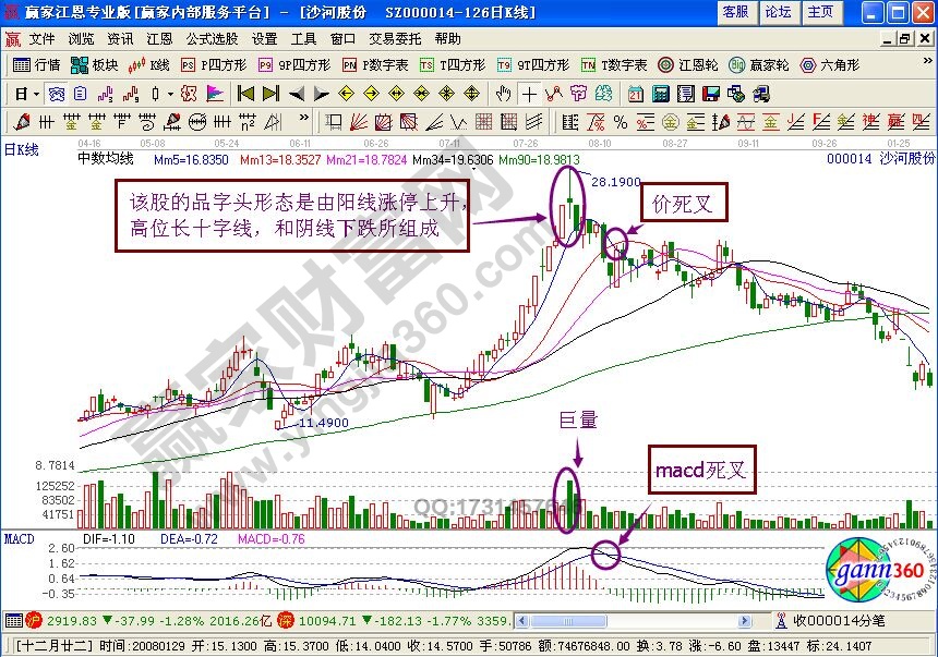 品字頭形態