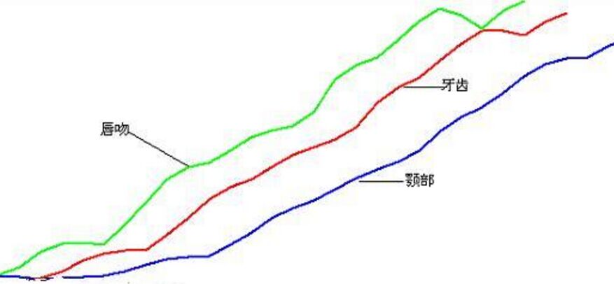 鱷魚線的原理以及實戰應用