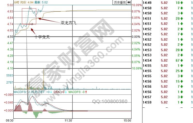 十字交叉與雙龍齊飛形態