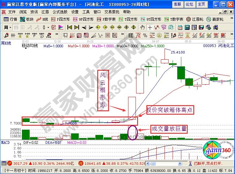 風云棍形態特征