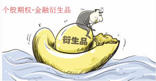 個股期權2.jpg