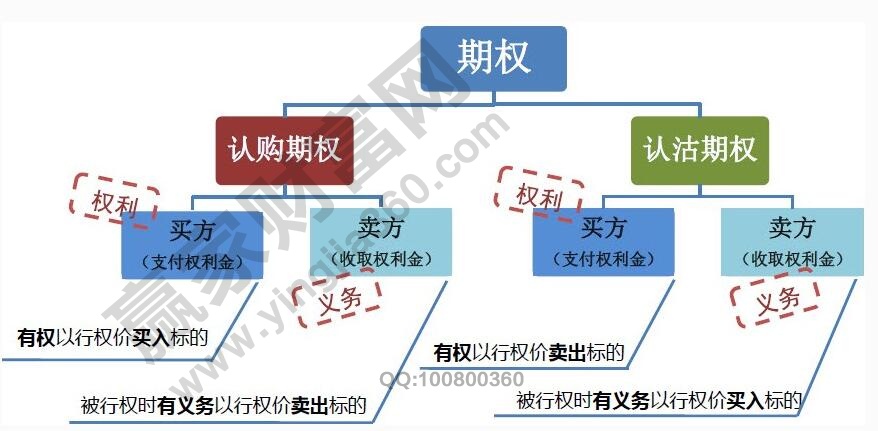 個股期權1.jpg