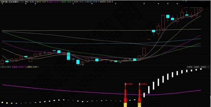 穩騎大黑馬指標
