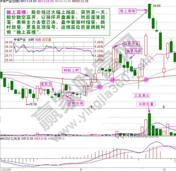 中體產業(yè)獨上高樓