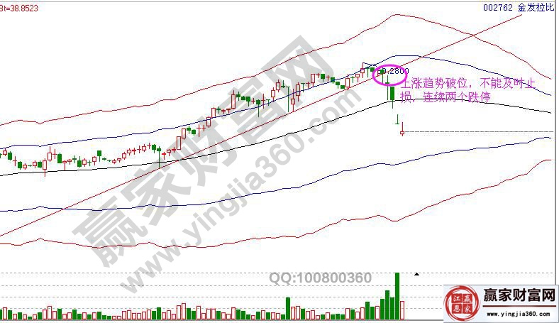 止損技巧金發拉比
