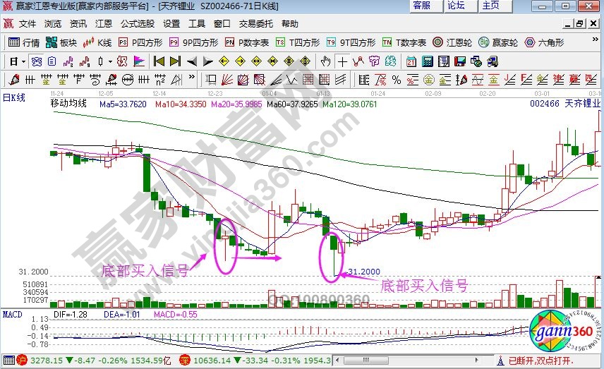 天齊鋰業走勢圖