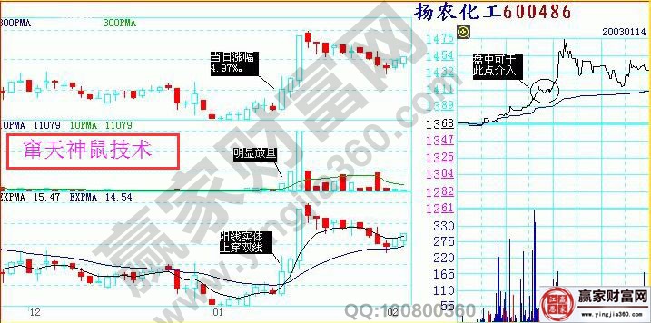 揚農化工走勢圖