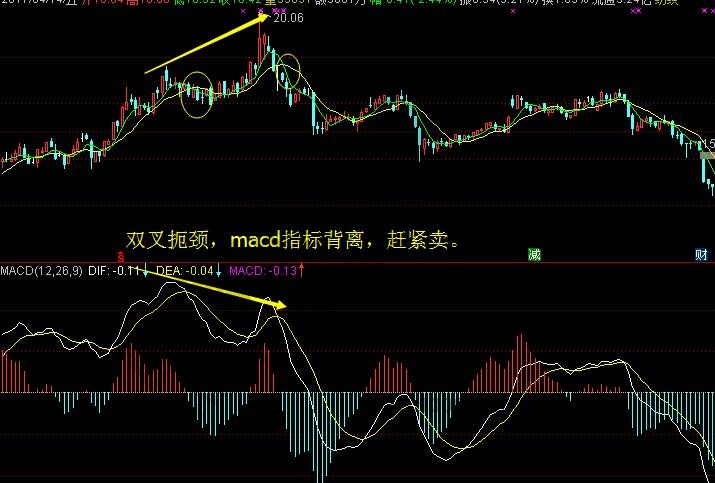 頂部形態之雙叉扼頸4.jpg